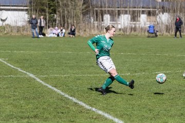 Bild 132 - F SG NieBar - IF Stjernen Flensborg : Ergebnis: 4:1